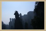 DSC03528