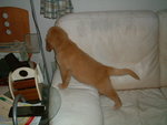 2005-11-16_01
