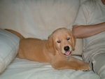 2005-11-16_02