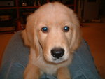 2005-12-02_02