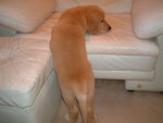 2005-12-02_03