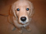 2005-12-02_04