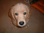 2005-12-02_05