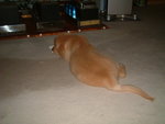2005-12-02_06