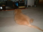 2005-12-02_07