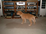 2005-12-02_14
