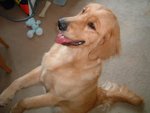 2006-05-14_03