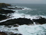 DSCF0979