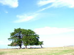 嘩, 呢張好有在世界中心呼喚愛既feel呀~!