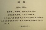 CIMG1883