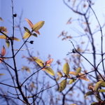 Untitled-2