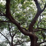 Untitled-10