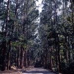 Untitled-18