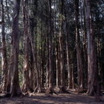 Untitled-8