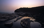 a29