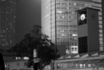 IMG_4454