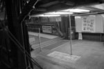 IMG_4495