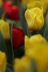 IMG_0192