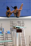 IMG_1203