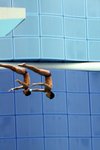 IMG_1256
