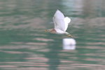 IMG_5344