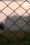 photo 036