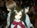 IMGP1582