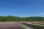 DSC00625