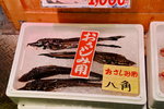 小樽名魚： 八角魚