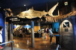 DSC_2091