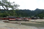 DSC07485