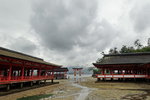 DSC07505