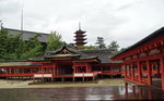 DSC07510