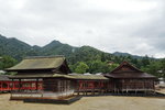 DSC07533