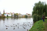 DSC05213