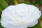 DSC00121a