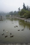 DSC00129