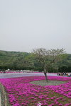 DSC04561