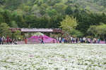 DSC04569