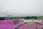 DSC04581
