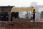 Morning in New-delhi.