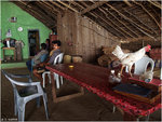 Coexistence, Om beach - Karnataka, India.