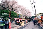 奈良吉野山-可惜櫻花還未盛開
