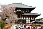 座落於奈良公園的日本國寶-東大寺