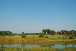 25-12-06濕地公園2006-12-25_13-15-3900