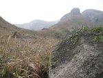IMG_7318
