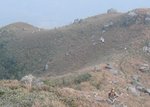 IMG_7322a