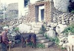 Scan_Pic0025