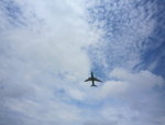 IMG_4773b