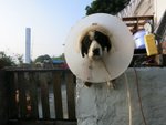 IMG_0535
